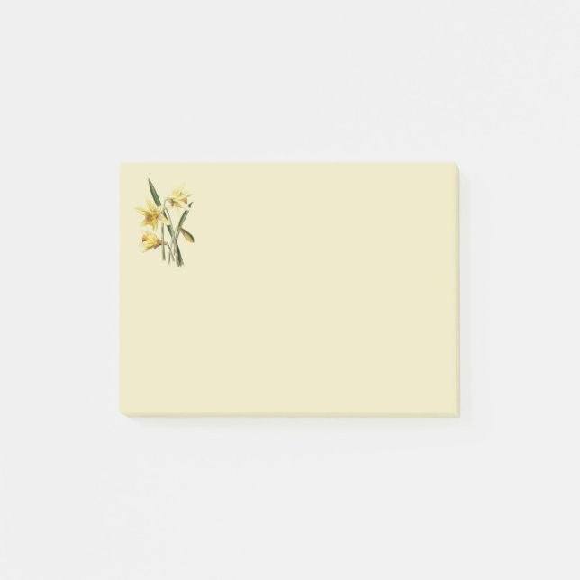 Daffodil post it notes (Front)