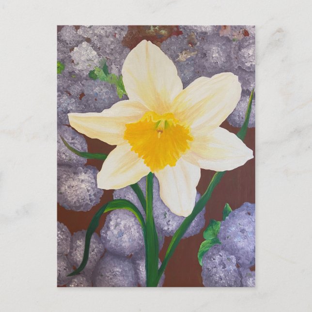 Daffodil Postcard (Front)