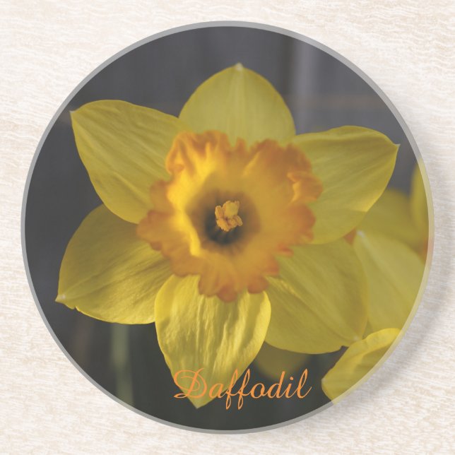 Daffodil sandstone coaster (Front)