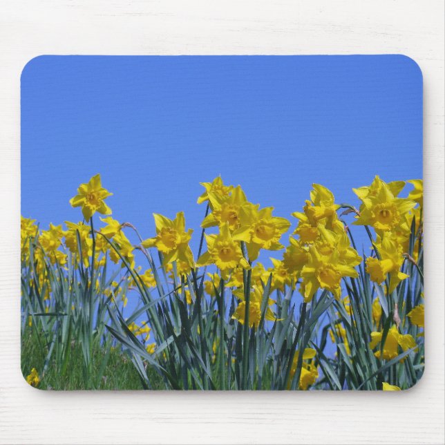 Daffodil Sky Mouse Pad (Front)