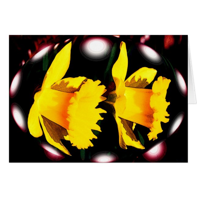 Daffodil spirits (Front Horizontal)