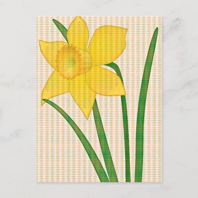 Daffodil Springtime Yellow flower design Postcard (Front)