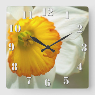 Daffodil Square Wall Clock