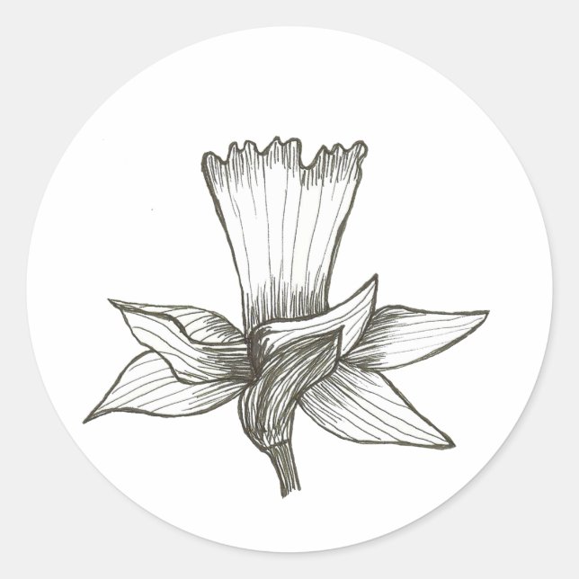 Daffodil Sticker (Front)