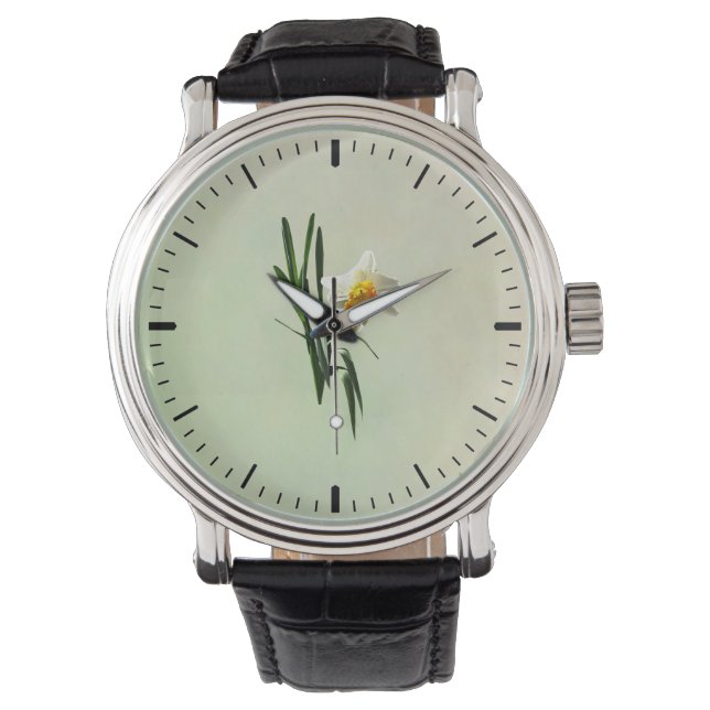 Daffodil Taking a Bow Watch (Front)