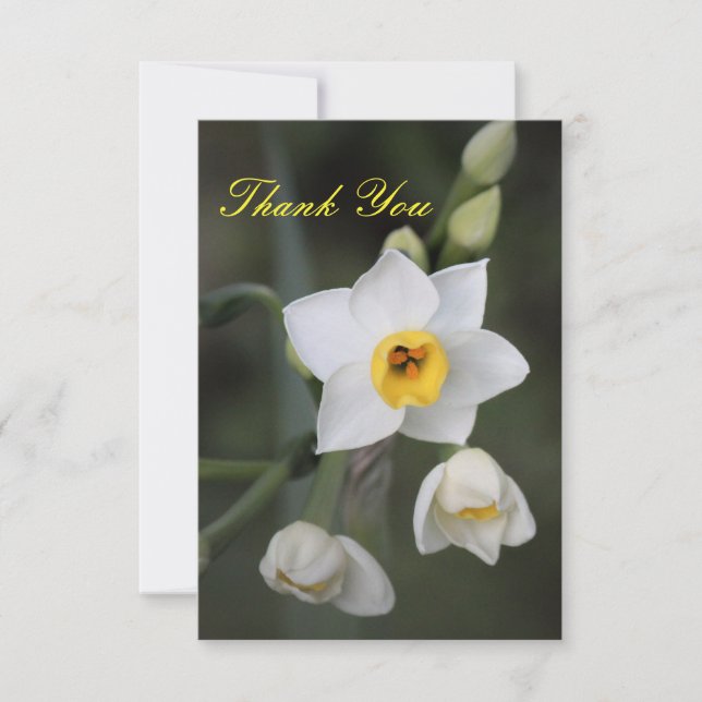 Daffodil Thank You Card (Front)