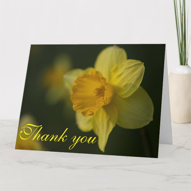 Daffodil Thank You Card (Front)
