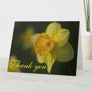 Daffodil Thank You Card