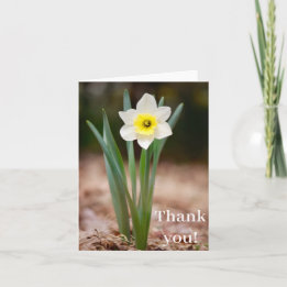 Daffodil "Thank You!" Card (light)