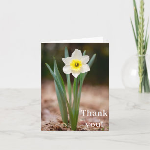 Daffodil "Thank You!" Card (light)