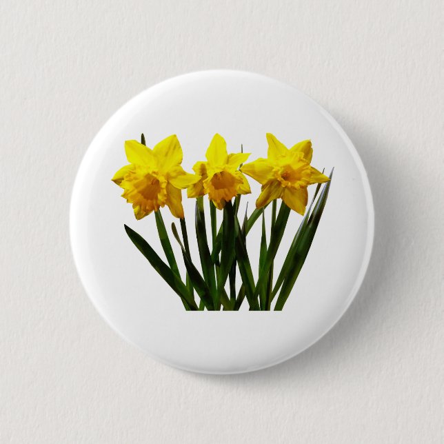 Daffodil Trio 2 Inch Round Button (Front)