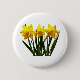 Daffodil Trio 2 Inch Round Button