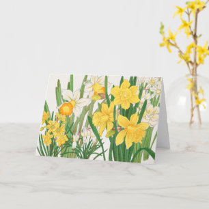 Daffodil Woodblock Painting, Tanigami Kônan, 1917 Card