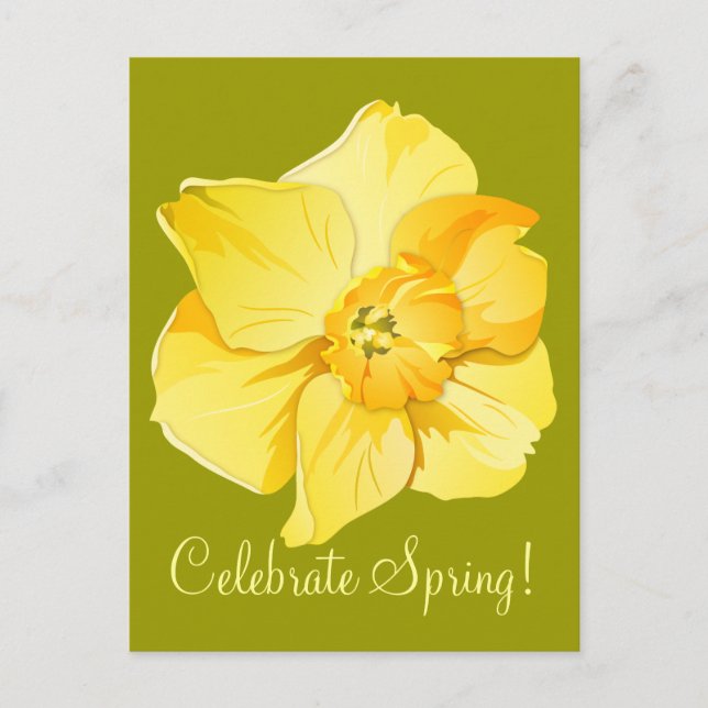 Daffodil Yellow Short-Trumpet Spring Flower Postcard (Front)