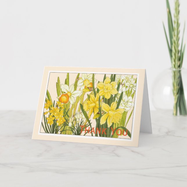 Daffodiles, Carte Botanique - Salutation de Person (Devant)
