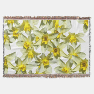 Daffodiles Lancer la couverture