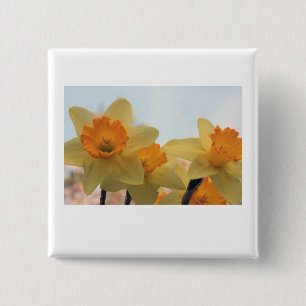 Daffodills 2 Inch Square Button