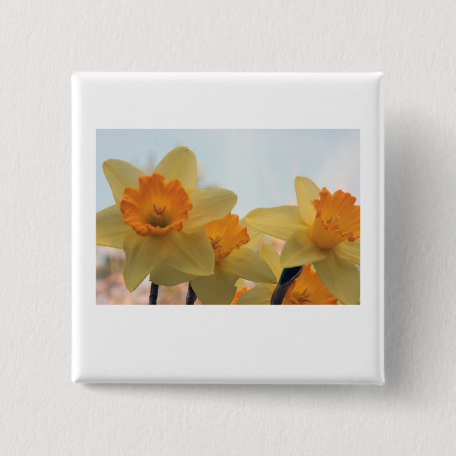 Daffodills 2 Inch Square Button (Front)