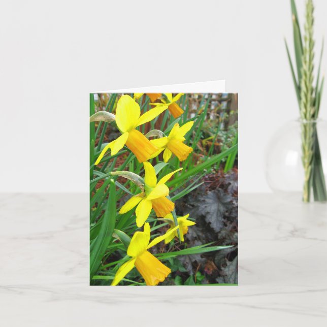 Daffodils and Birds Note Card (Front)