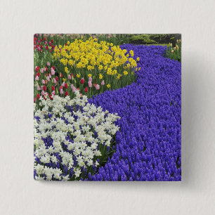 Daffodils and Grape Hyacinth, Keukenhof 2 2 Inch Square Button