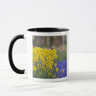 Daffodils and Grape Hyacinth, Keukenhof Mug