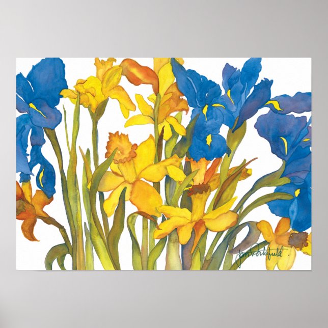 Daffodils and Iris Poster (Front)