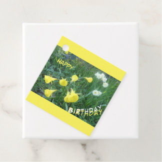 Daffodils Arctic Bells Favor Tags