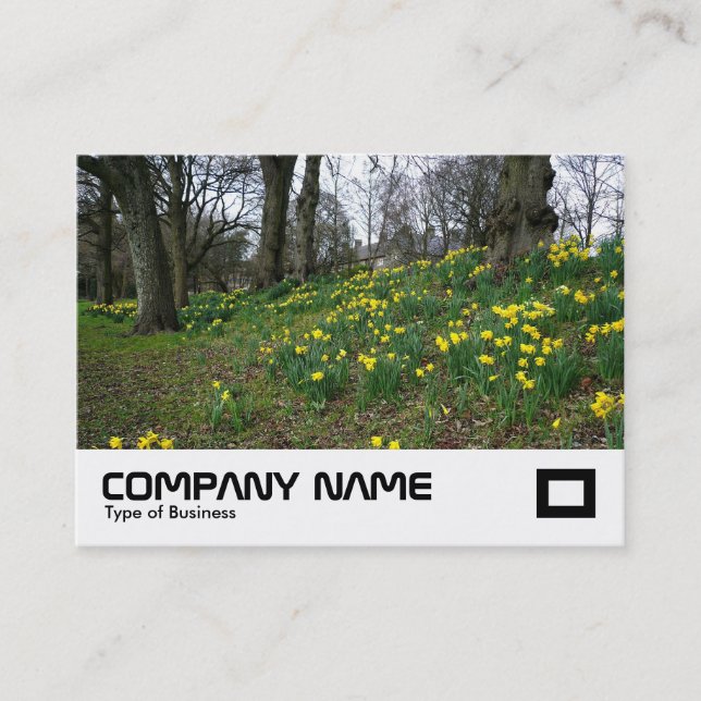 Daffodils Bute Park, Cardiff Business Card (Front)