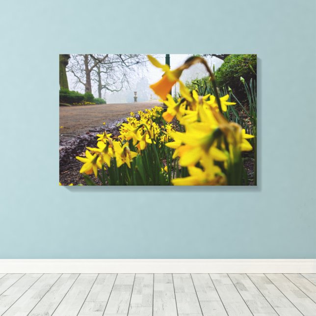 Daffodils  canvas print (Insitu(Wood Floor))