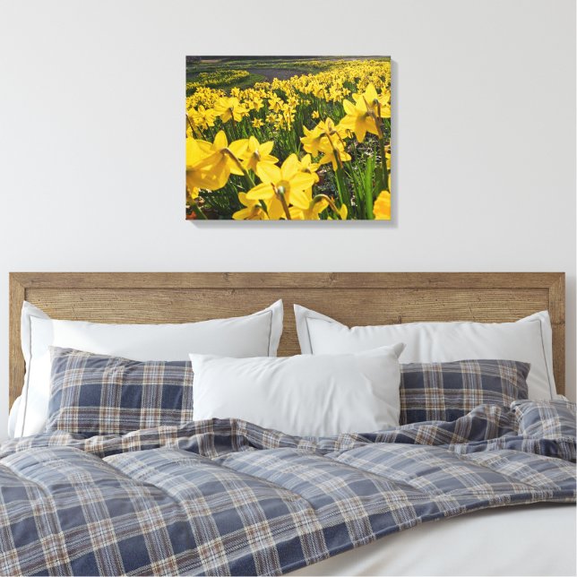 Daffodils  canvas print (Insitu(Bedroom))