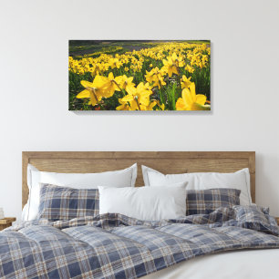 Daffodils  canvas print