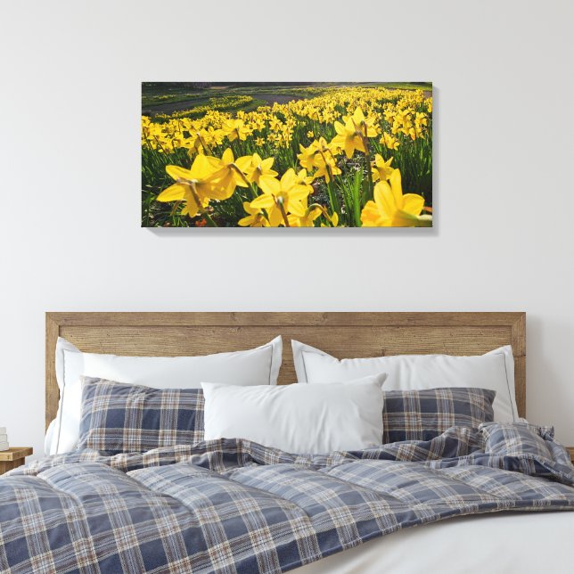 Daffodils  canvas print (Insitu(Bedroom))