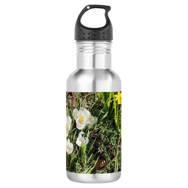 Daffodils & Crocus 710 Ml Water Bottle (Front)