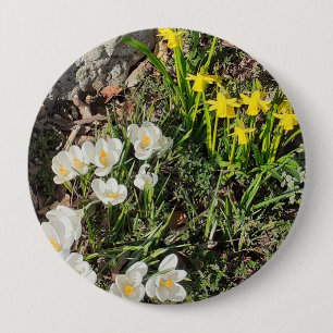 Daffodils & Crocus Badge 4 Inch Round Button