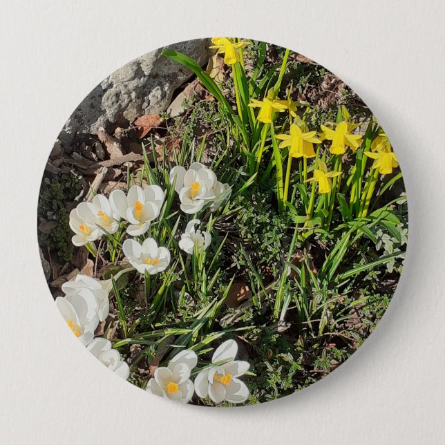 Daffodils & Crocus Badge 4 Inch Round Button (Front)