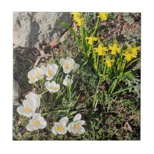 Daffodils & Crocus Ceramic Tile