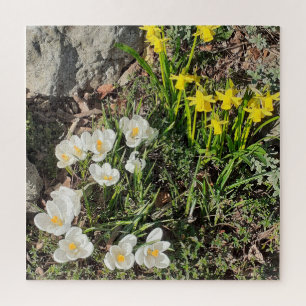 Daffodils & Crocus Jigsaw Puzzle