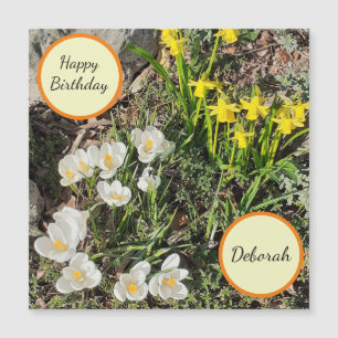 Daffodils & Crocus Magnetic Birthday Card