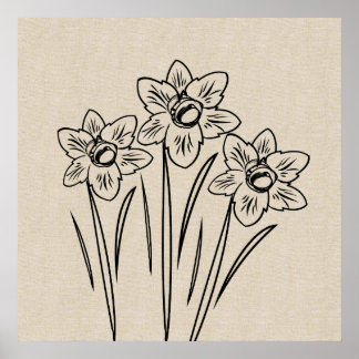 Daffodils Drawing Canvas Flower Poster