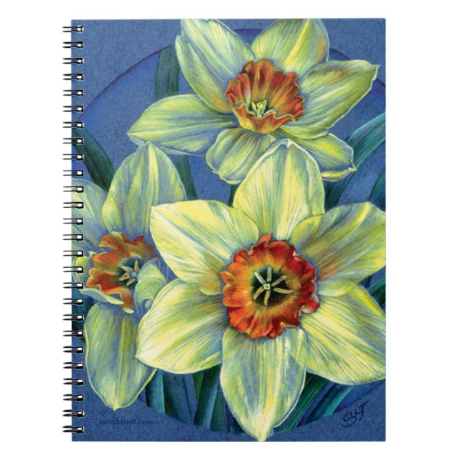 Daffodils fine art notebook (Front)