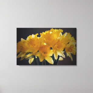 Daffodils Flower Sunlight Canvas Photographic Art