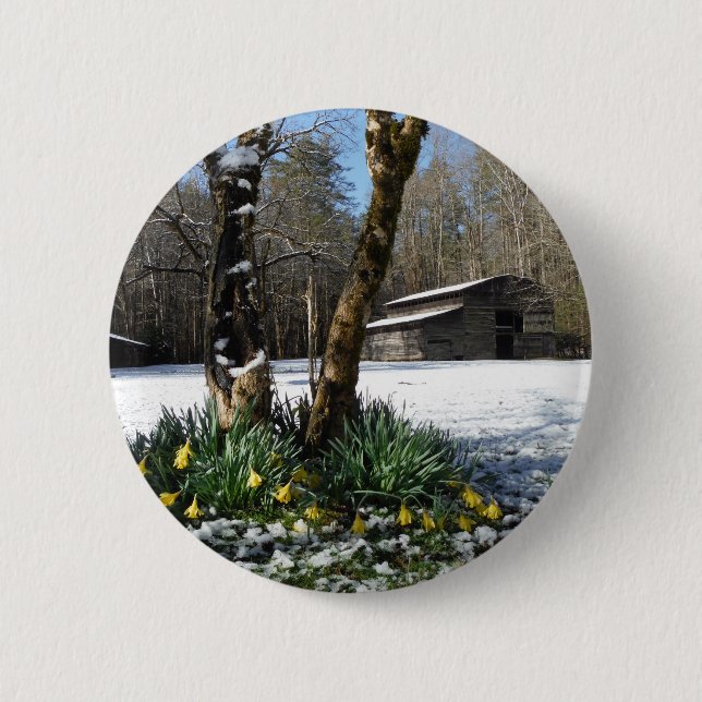Daffodils flowers in the snow 2 inch round button (Front)