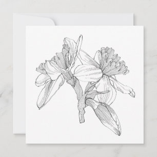 Daffodils flowers line bouquet. card