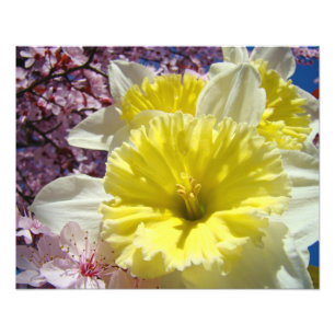 Daffodils Flowers Photography art prints Spring