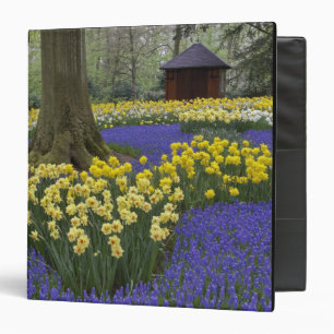 Daffodils, grape hyacinth, and tulip garden, binder