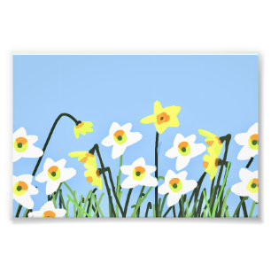 Daffodils in Spring – Contemporary Art  Photo Print