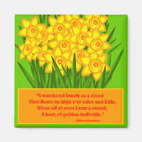 Daffodils