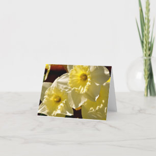 Daffodils Note Card