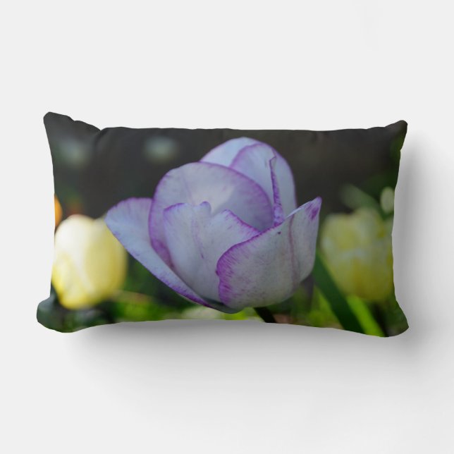 Daffodils of Beauty Lumbar Pillow (Front)