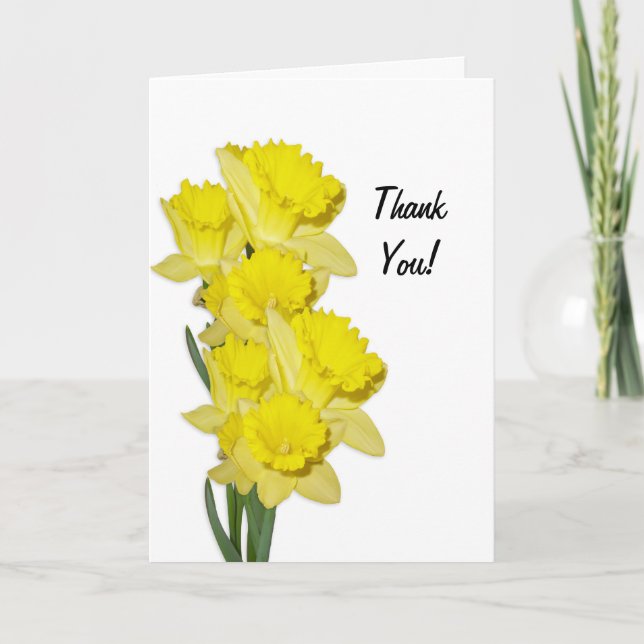 Daffodils on white blank thank you note card (Front)